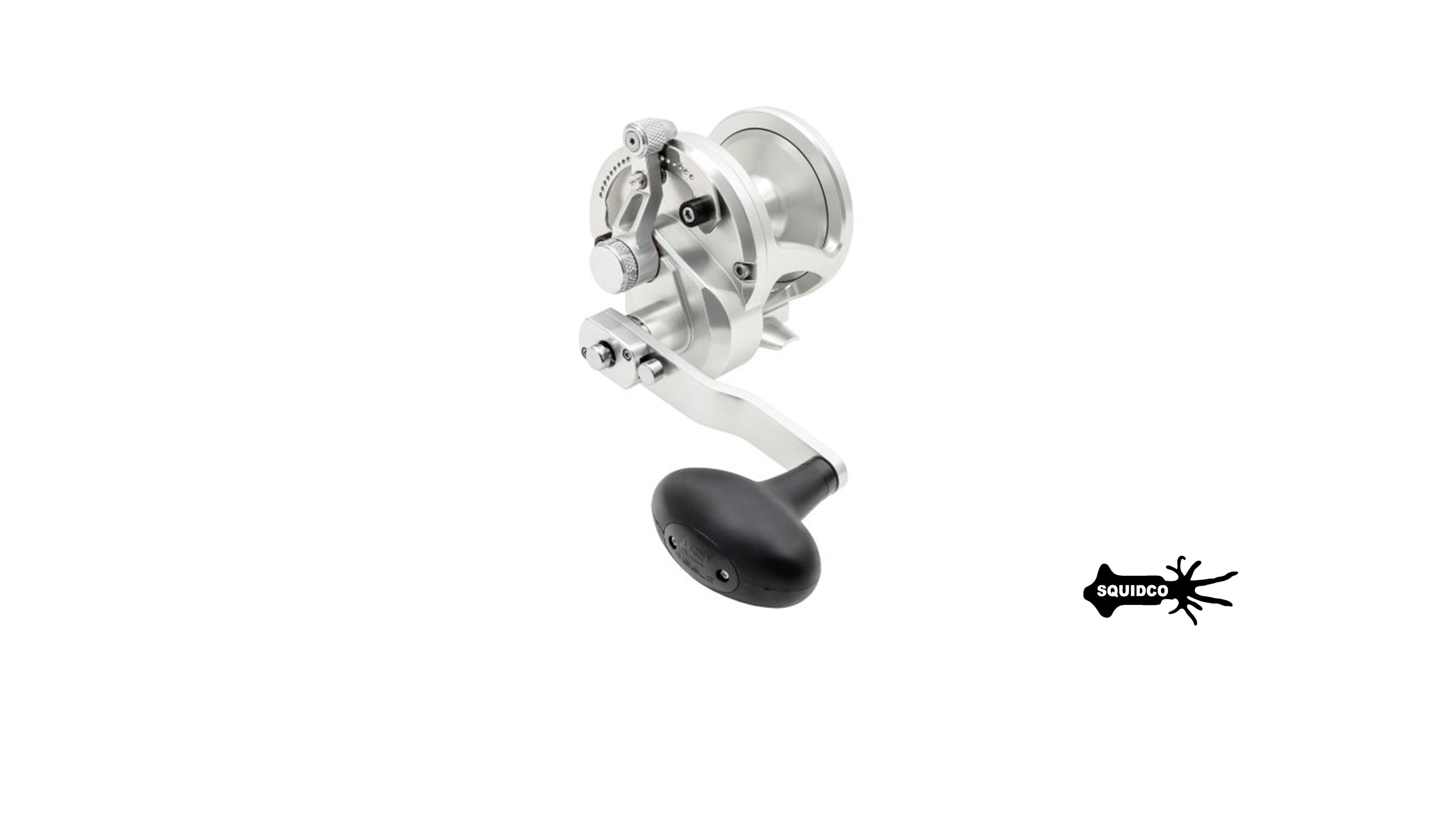 Avet JX 6/3 Raptor MC | Squidco Fishing