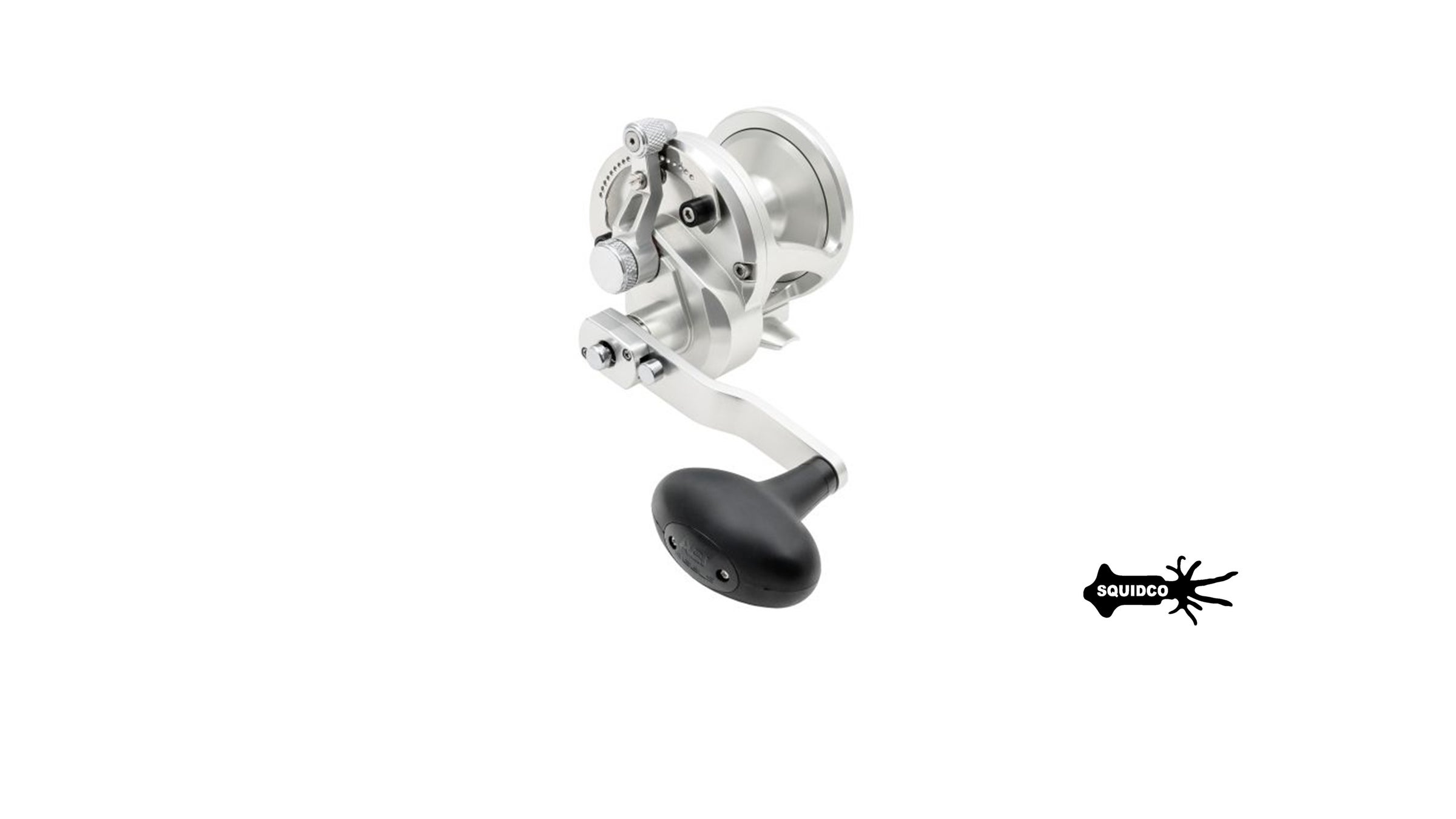Avet JX 6/3 Raptor MC | Squidco Fishing