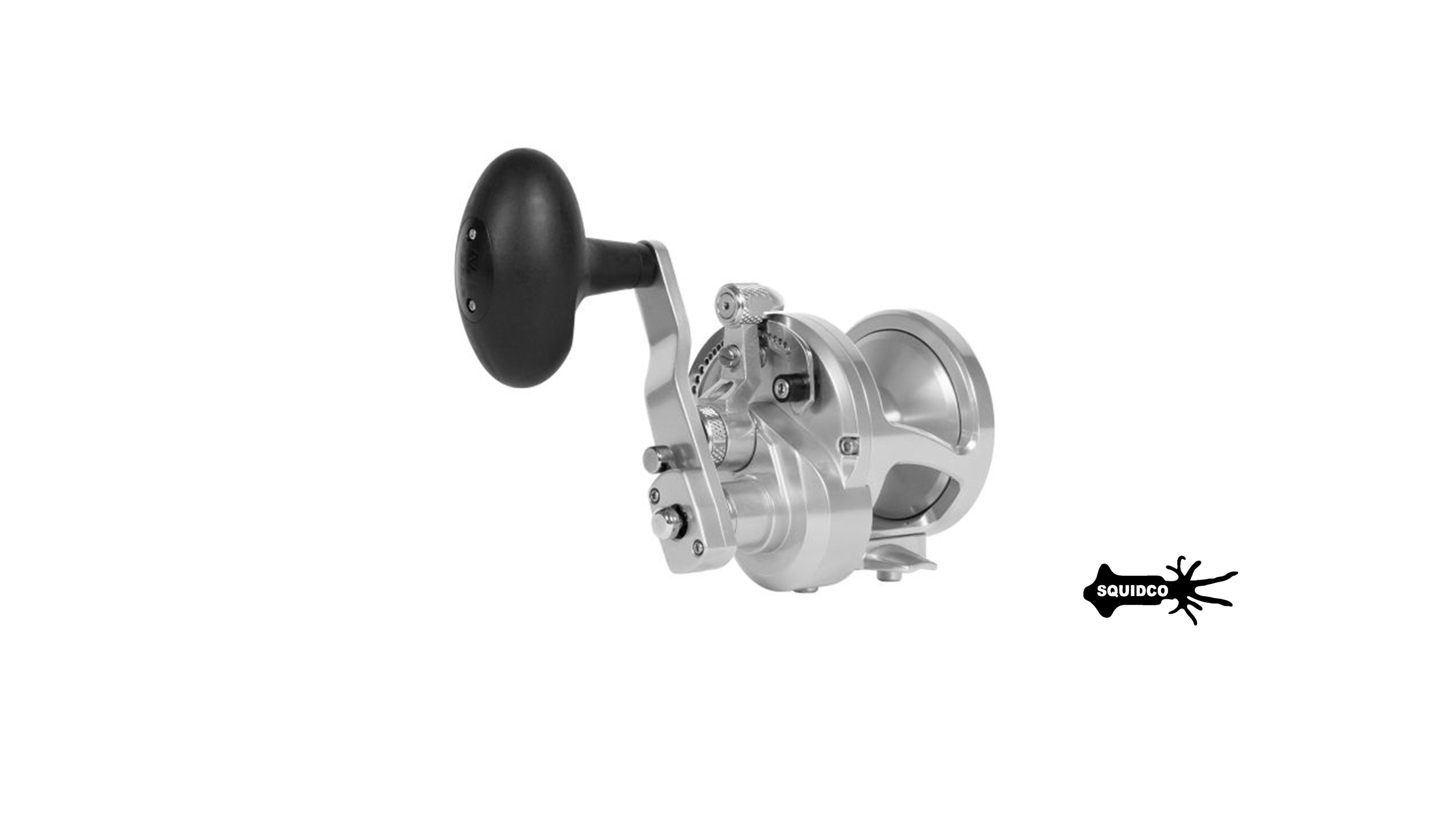 Avet MXJ 6/4 Raptor MC | Squidco Fishing